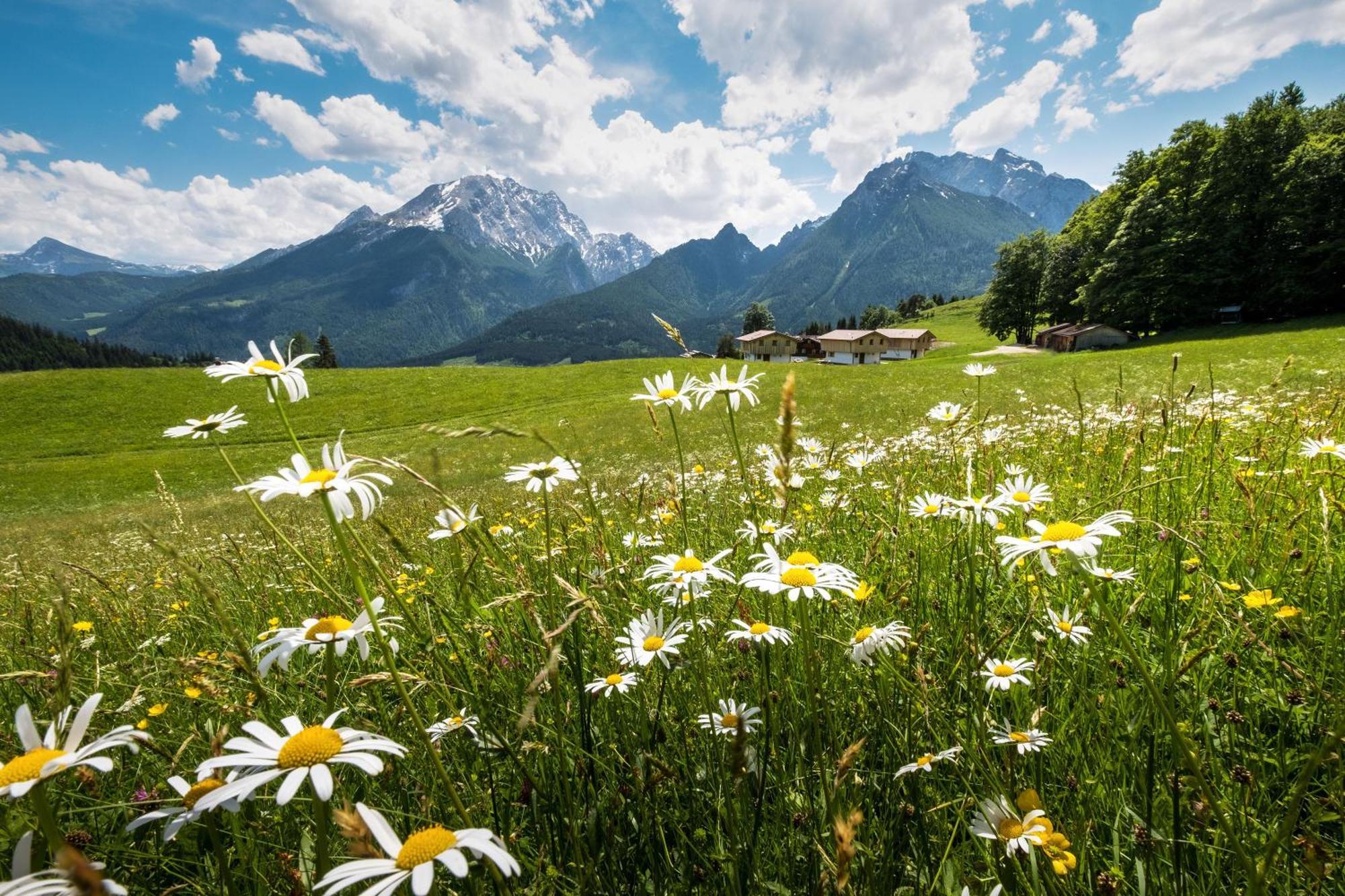 Ettlerlehen Chalets Ramsau bei Berchtesgaden Exteriér fotografie